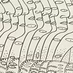 Yayoi Kusama